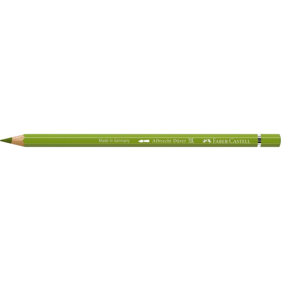 Faber-Castell - アルブレヒト・デューラー水彩色鉛筆・単色（アースイエローグリーン）
