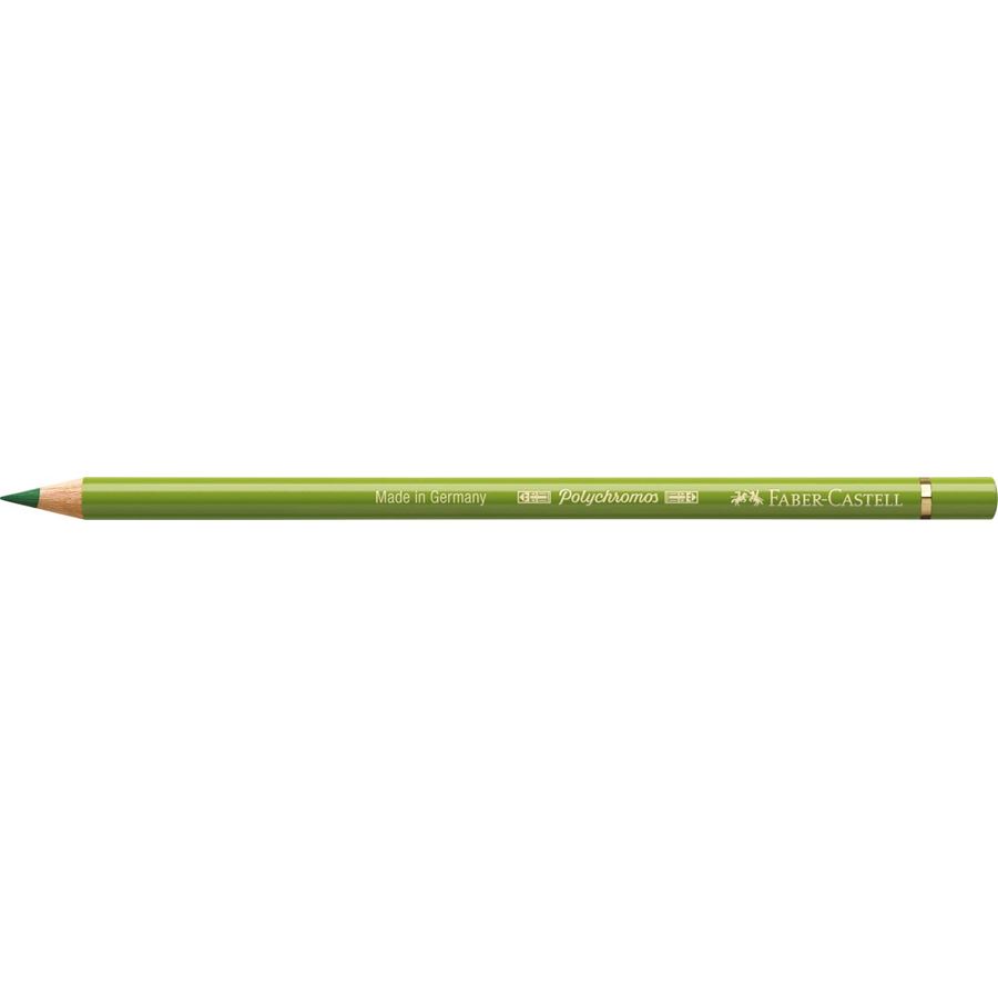 Faber-Castell - ポリクロモス色鉛筆・単色（アースイエローグリーン）