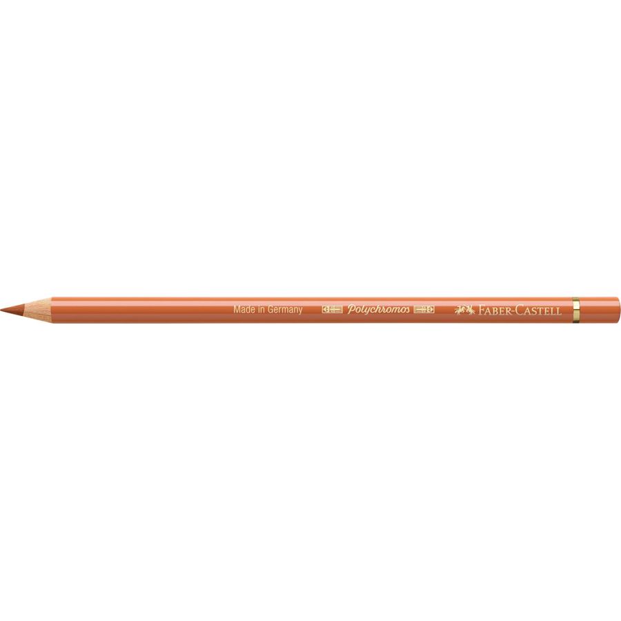 Faber-Castell - ポリクロモス色鉛筆・単色（バーントオーカー）